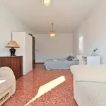 Alquilar 6 dormitorio apartamento en Valencia