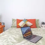 Rent a room in madrid