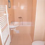 Rent 2 bedroom apartment of 50 m² in Brno