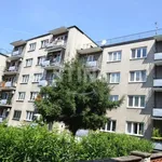 Rent 3 bedroom apartment of 73 m² in Zlín