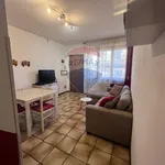 Rent 4 bedroom apartment of 55 m² in Viareggio