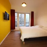 Rent a room in brussels