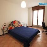 Rent 2 bedroom apartment of 55 m² in Novara