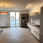 Rent 3 bedroom apartment of 96 m² in Lecce