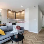 Rent 3 bedroom apartment of 53 m² in Poznan