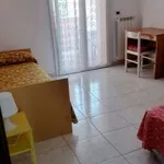 Appartamento arredato con terrazzo Centro