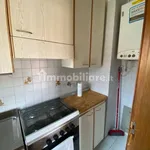 Rent 3 bedroom apartment of 65 m² in Bologna