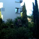 Rent 2 bedroom apartment of 31 m² in Toulouse