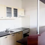 Rent 1 bedroom apartment in Brno