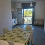 Rent 3 bedroom apartment of 66 m² in Casal Velino