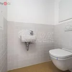 Rent 3 bedroom apartment of 60 m² in Praha