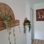 Rent a room in Toulouse