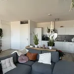 Rent 3 bedroom apartment of 77 m² in Tuindorp-Oost