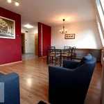 Rent 2 bedroom apartment of 47 m² in Poznan