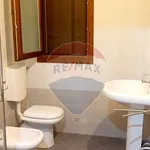 Rent 2 bedroom apartment of 50 m² in Ferrara