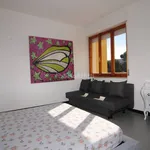 Rent 2 bedroom apartment of 45 m² in Livorno