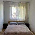 Rent 3 bedroom apartment of 68 m² in Wrocław