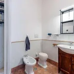 Rent 1 bedroom apartment in Rome