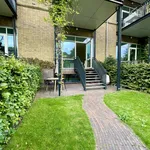 Rent 3 bedroom apartment of 125 m² in Rotterdam