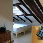 Miete 1 Schlafzimmer wohnung in Basel