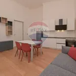 Rent 2 bedroom apartment of 58 m² in Turin