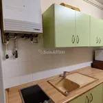 Rent 3 bedroom apartment of 70 m² in Biella