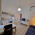 Rent 2 bedroom apartment of 45 m² in Pavia