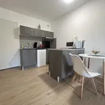 Appartement de 33 m² avec 1 chambre(s) en location à amelie les bains palalda