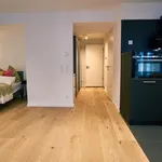 Rent 1 bedroom apartment of 45 m² in Nürnberg