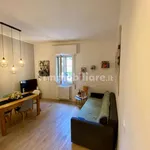 Rent 2 bedroom apartment of 50 m² in Bologna