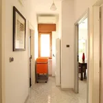 Rent 3 bedroom apartment of 135 m² in Brindisi