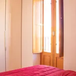 Rent 1 bedroom apartment in madrid