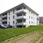 Rent 5 bedroom apartment of 110 m² in Fribourg - Freiburg