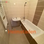 Rent 4 bedroom apartment of 80 m² in Ostrava