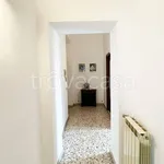 Rent 3 bedroom apartment of 88 m² in Nettuno