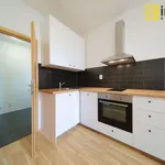 Pronajměte si 1 ložnic/e byt o rozloze 36 m² v Pilsen