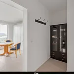 Rent 1 bedroom apartment of 45 m² in Erkrath