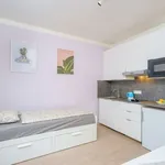 Studio o rozloze 23 m² v prague