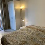 Rent 2 bedroom apartment in Bologna