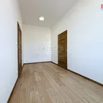 Rent 3 bedroom apartment in Hodonín