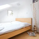 Pronajměte si 2 ložnic/e byt o rozloze 54 m² v Prague