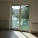 Rent 1 bedroom apartment in Blansko