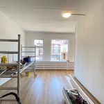 Rent a room of 20 m² in Hortusbuurt-Ebbingekwartier