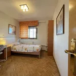 Rent a room of 100 m² in madrid