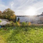 Rent 4 bedroom apartment of 60 m² in Berlin