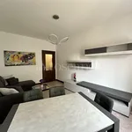 Rent 2 bedroom apartment of 73 m² in Milano