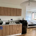 Rent 1 bedroom apartment of 30 m² in Clermont-Ferrand