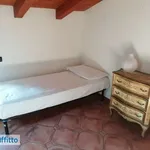 Rent 5 bedroom apartment of 100 m² in Bologna