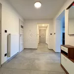 Rent 3 bedroom apartment of 100 m² in Vyškov