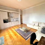 Rent 2 bedroom apartment of 52 m² in Firenze